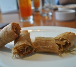 Tuna spring rolls